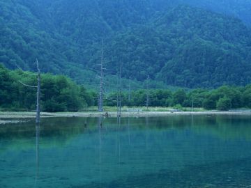 山内薫税理士事務所