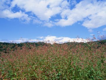 工藤良子土地家屋調査士事務所