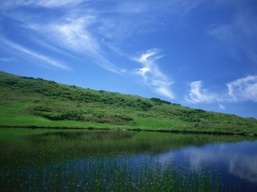 宇和譲行政書士事務所